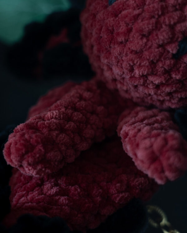 Axolotl jumeaux (3) Axolotl