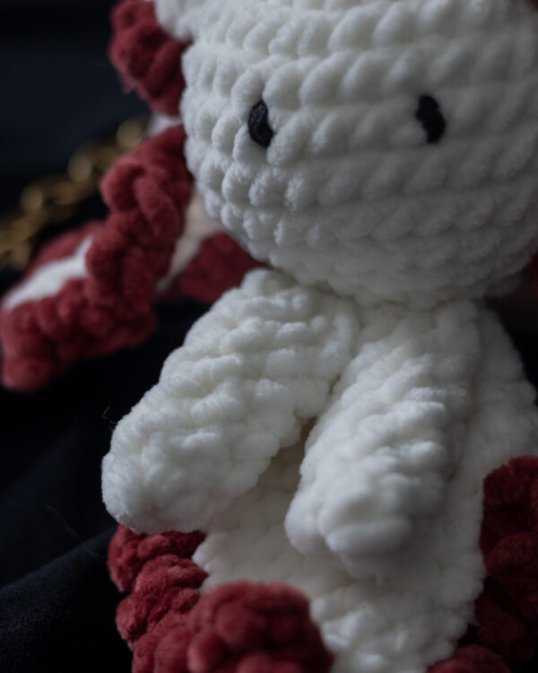 Axolotl jumeaux (5) Axolotl