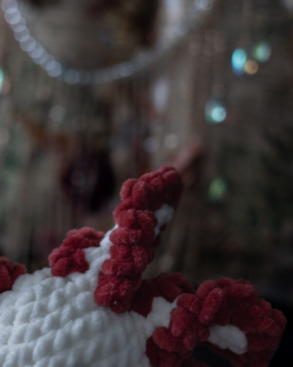 Axolotl jumeaux (6) Axolotl