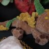 Dragonnet fleuri dans son oeuf