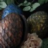 Dragonnet fleuri dans son oeuf