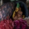 Dragonnet fleuri dans son oeuf