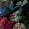 Dragonnet fleuri dans son oeuf